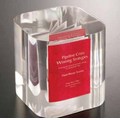 Lucite Block Embedment Award